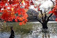 写真で見る韓国の美しい晩秋