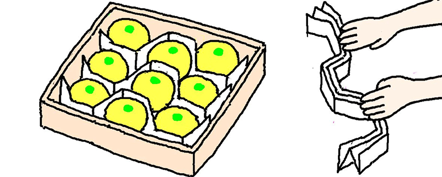 ミカンを箱に入れる時は新聞紙を