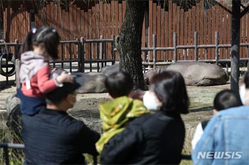 人間なら90歳過ぎ…瀕死の韓国最高齢58歳ゾウ「サクラ」、3カ月間の闘病の末に回復