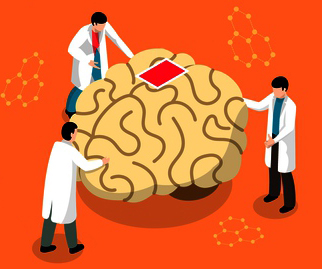 中国研究チームが米粒より小さい「脳センサー」開発…手術なしで簡単に挿入、数週間で体内に吸収