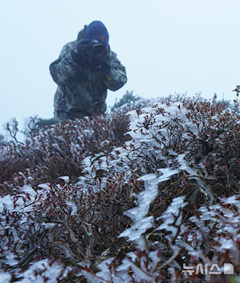 「今秋の最低気温　漢拏山に樹氷」／済州