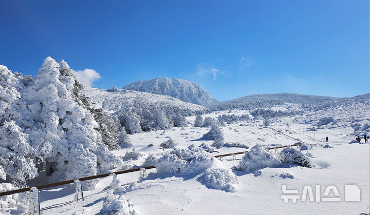 「雪の王国」になった漢拏山　／済州