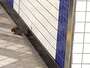 ▲ソウル地下鉄2号線・永登浦区庁駅のホームに現れたネズミ。写真＝聯合ニュース
