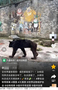 中国・貴州省の動物園で虐待疑惑か　「細すぎるクマ」に心配の声