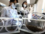 韓国各地にマラリア注意報…蚊を分類する研究員