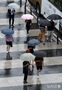 台風9号の影響で雨が降る中　出勤する人々　／ソウル