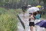 強い雨が降るソウル