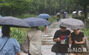 強い雨が降るソウル