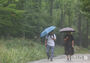 強い雨が降るソウル