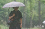 強い雨が降るソウル