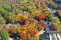 色とりどりに紅葉していく韓国民俗村